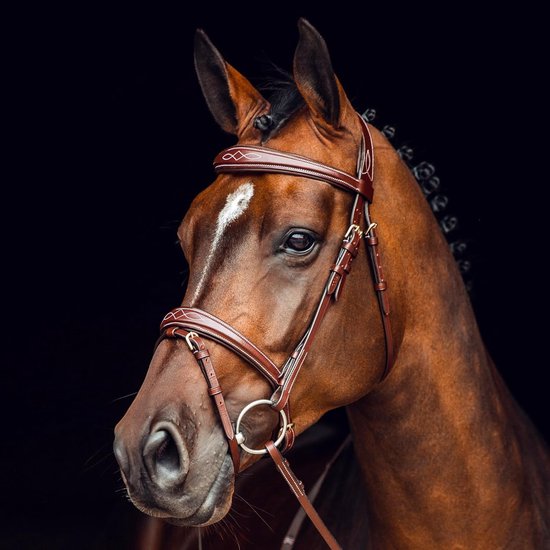 Hoofdstel met Teugels voor Paarden - Hoogwaardig Leer en Comfort Fit