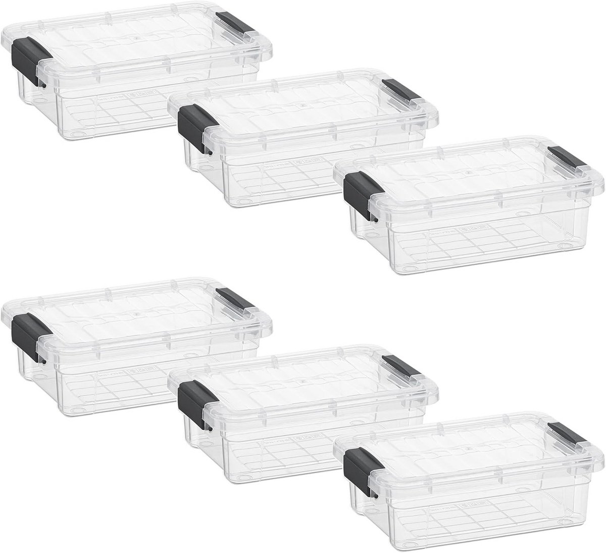 Set van 6 Stapelbare Doorzichtige Opbergbakjes met Deksel en Handvatten (Extra Klein)