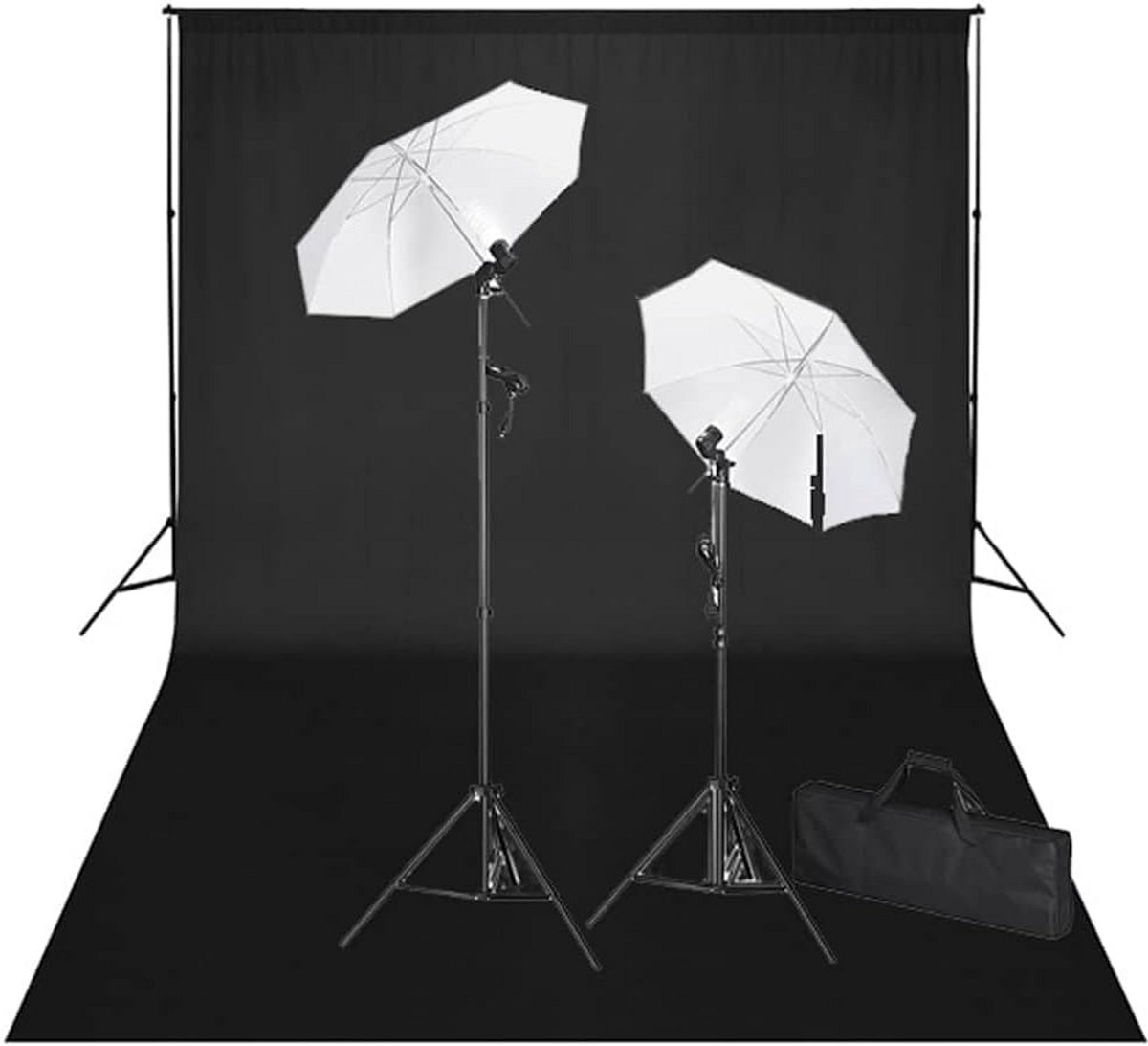 Complete Fotostudio Set met Zwarte Achtergrond 600x300 cm en Daglichtlampen