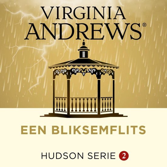 Een bliksemflits - cover