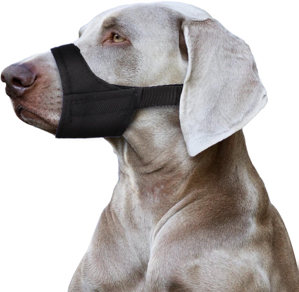 Muilkorf voor Honden - Geschikt voor Korte Snuiten - Snuitomtrek 21-24.1 cm