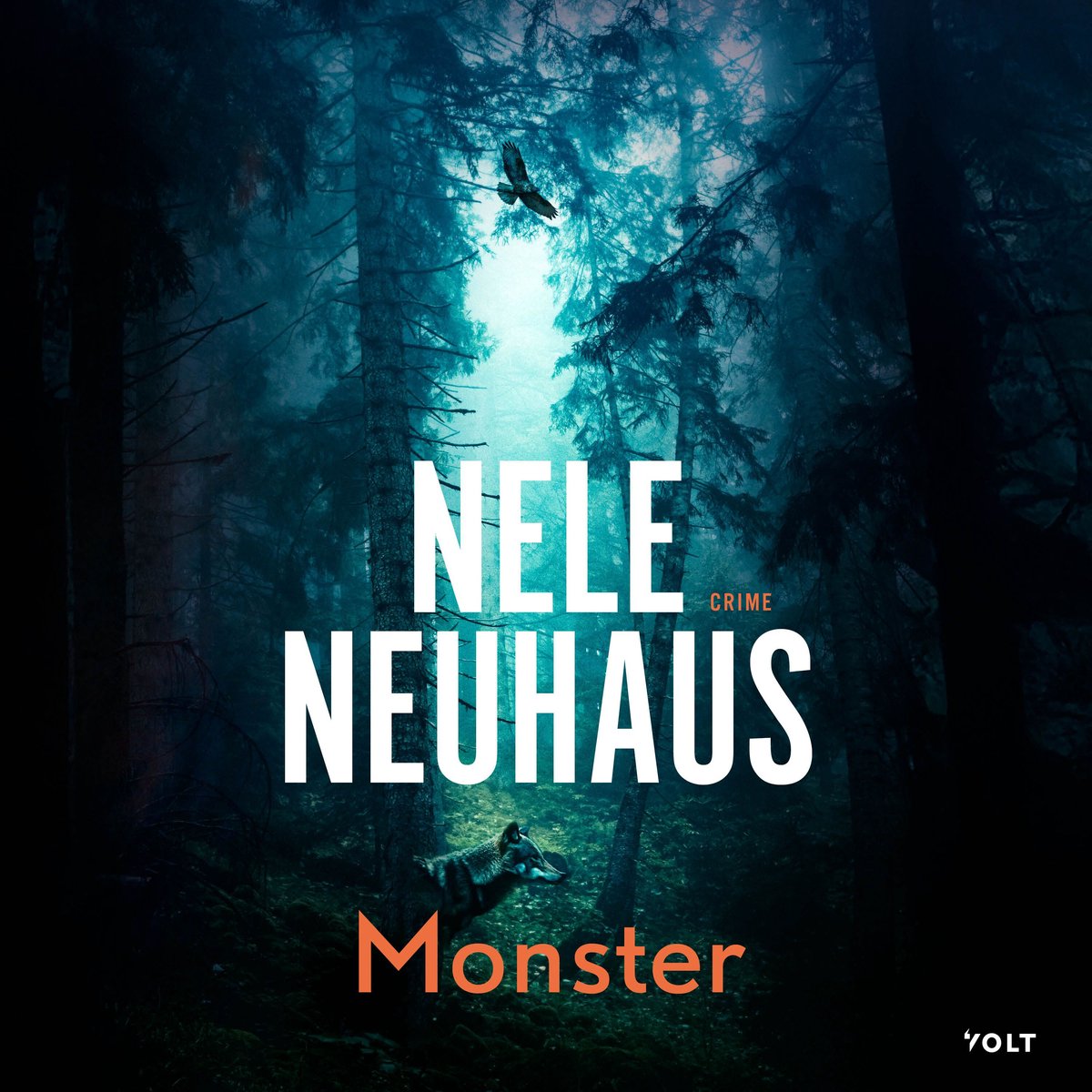 Omslag van Monster