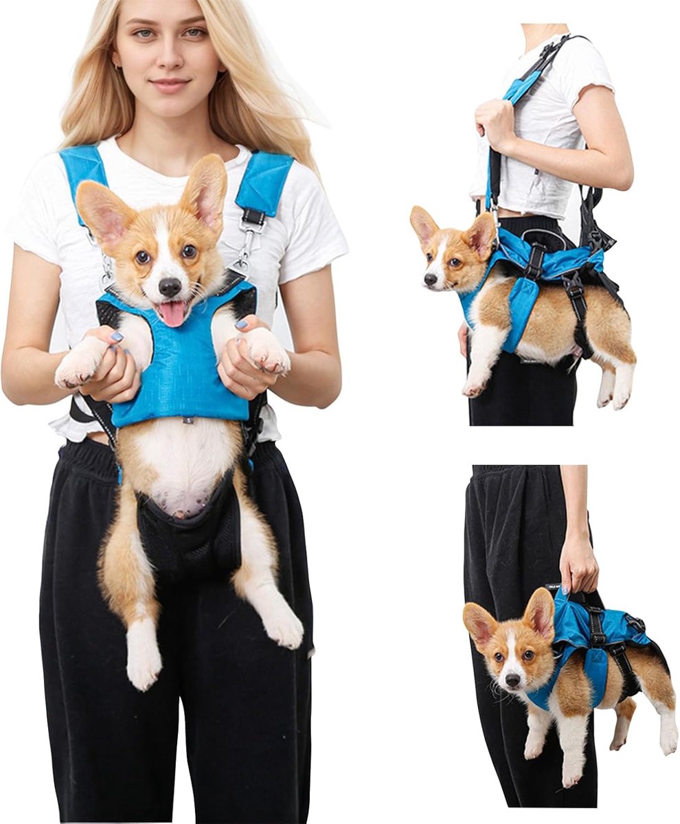 Huisdier Rugzak - Draagbare Hondentas - Reizen en Wandelen - Reflecterend Veiligheidsdesign - Tot 15 kg - Blauw