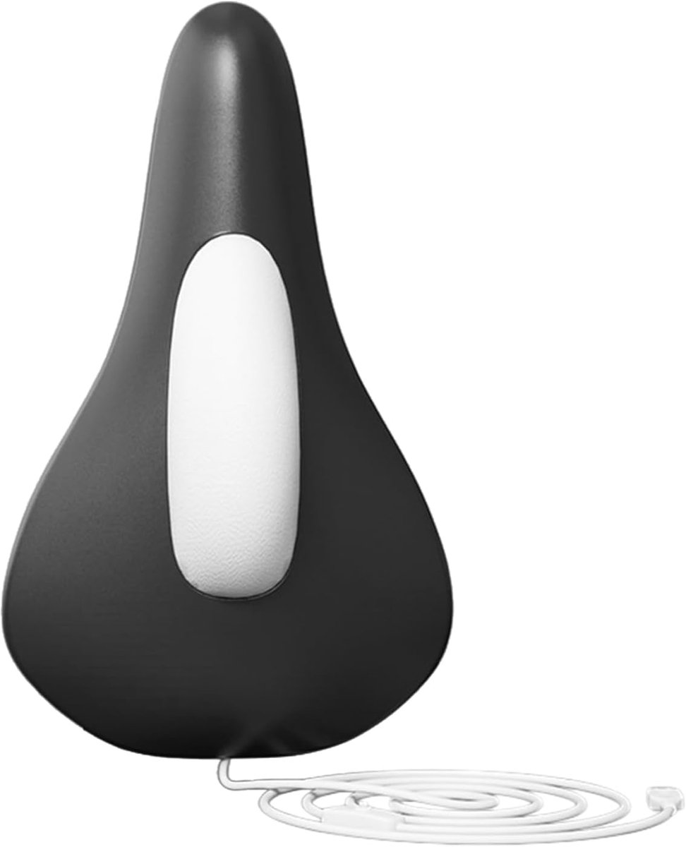 Bekkenbodemtrainer Mannen - Zitapparaat Core Stabiliteit - Gerichte Spierversterking - Compacte Discrete Oplossing - 23.5x14.5cm - Zwart