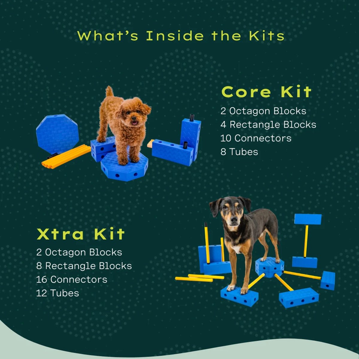 FitPaws - FitKinect Core - Trainingssysteem voor Honden