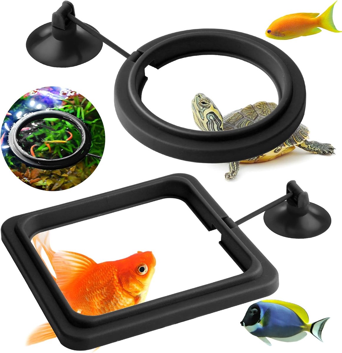 Visvoer Ring - Voerautomaat Aquarium - Voeding Aquarium - Aanpasbaar aan waterhoogte - 10x10 cm - Zwart