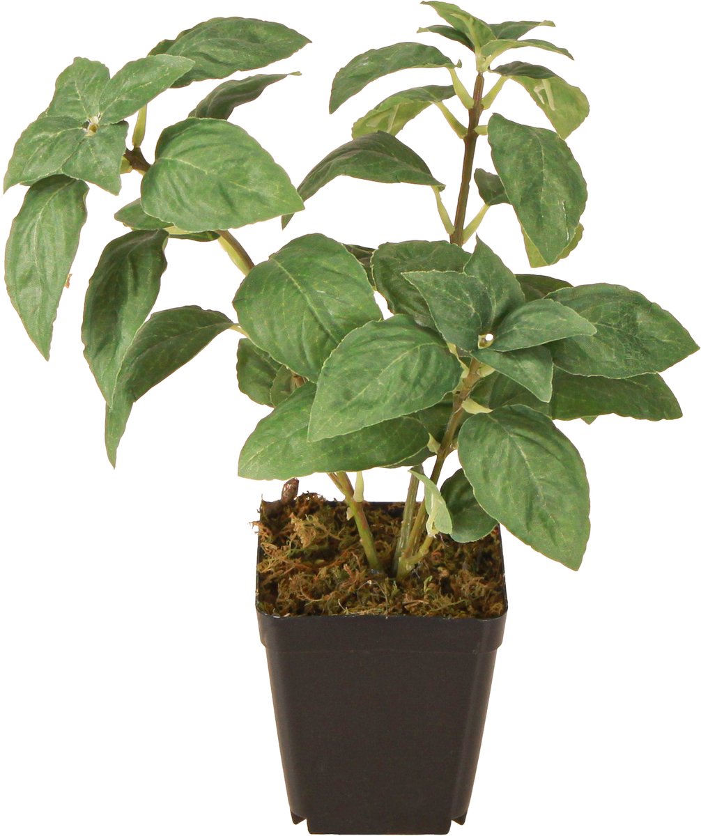 Viana Kunstmatige Basilicum in Pot Kruiden in Groen H22cm groente