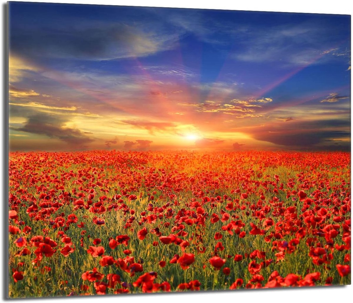 Universele Afdekplaat voor Keramische en Inductiekookplaten 60x52 cm