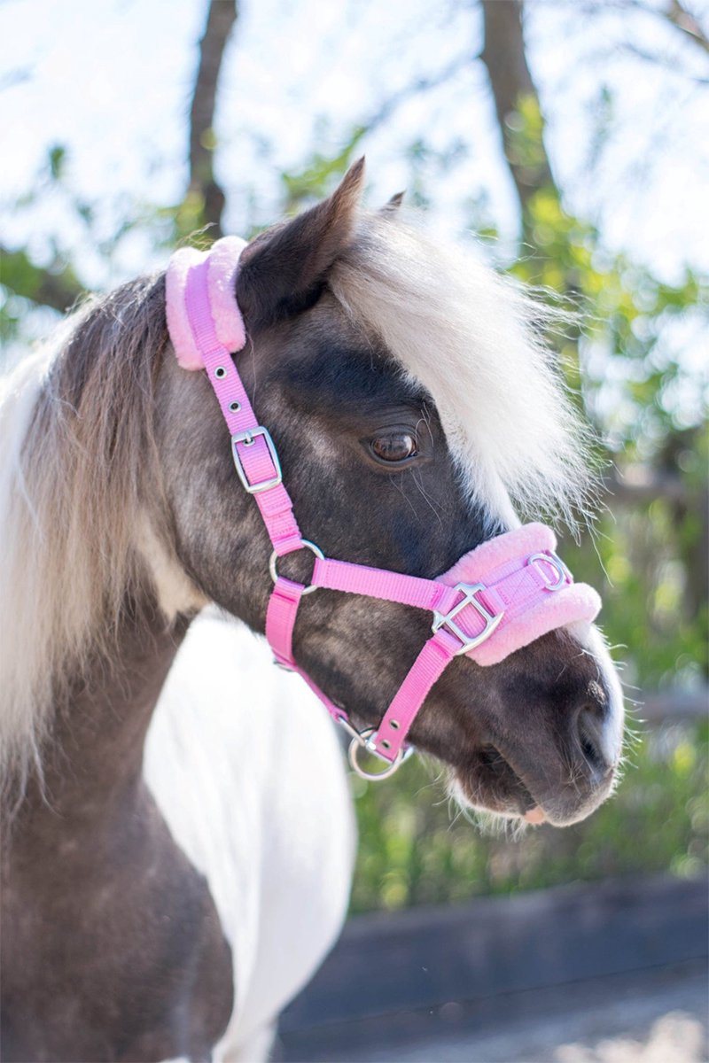 HB NYLON KAPTOOM HALSTER LITTLE SIZES Zwart-roze