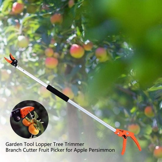 Telescopische Snoeischaar en Takkenknipper met Lange Steel — afbeelding 3