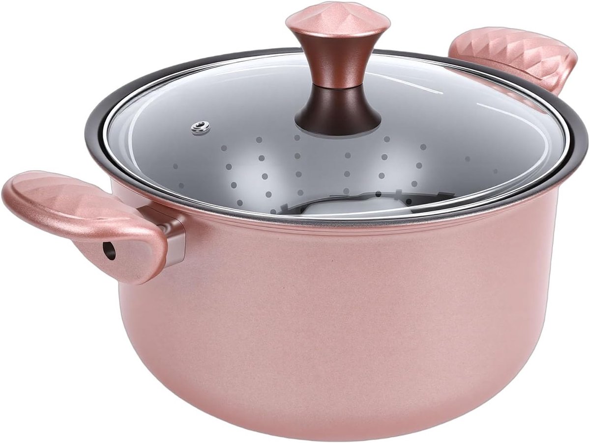 Roestvrijstalen Soeppan - Kookpot - Soepen Koken - Anti-aanbaklaag - 26 Cm Diameter