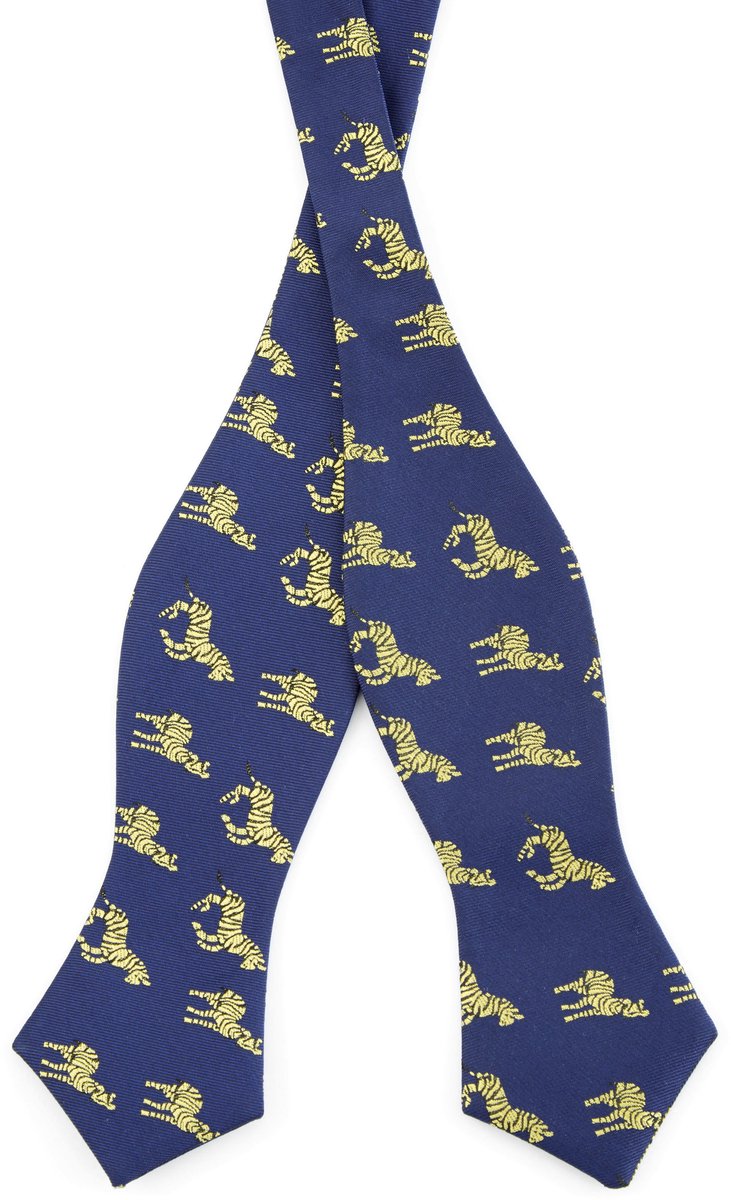 Blauwe Zebravlinderdas