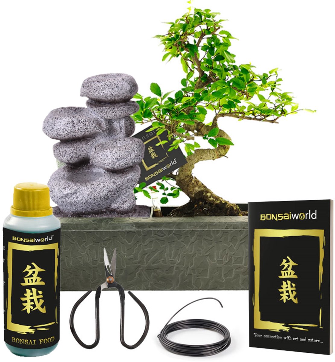 vdvelde.com - Bonsai boom S-vormig ca. 10 jaar met zen stenen waterval - Compleetset met easy-care watersysteem, bonsaischaar, voeding en binddraad - Indoor kamerplant - Cadeau set