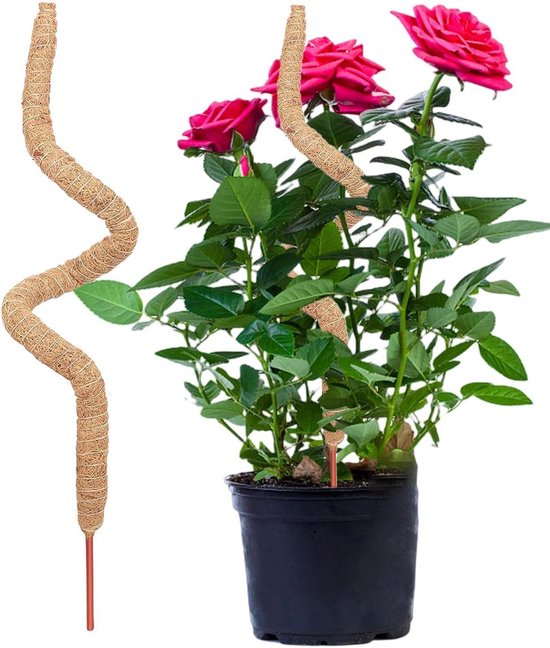 Plantensteun Stokken - Mosstok Klimplant - Planten Ondersteunen - Buigbaar Ontwerp - 100 110 120 cm - Natuurlijk