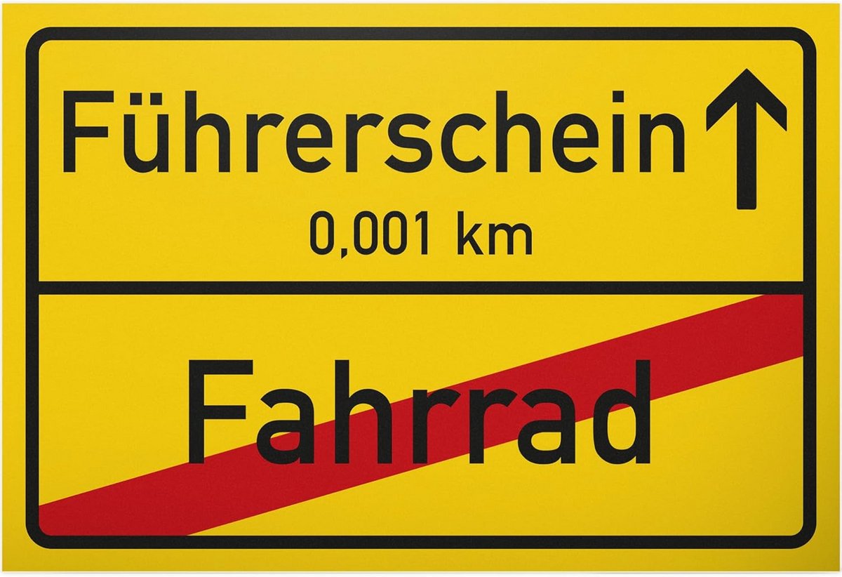 Geslaagd Rijbewijs Plaatsnaambord Cadeau - Felicitatie Bord Auto Theorie Examen