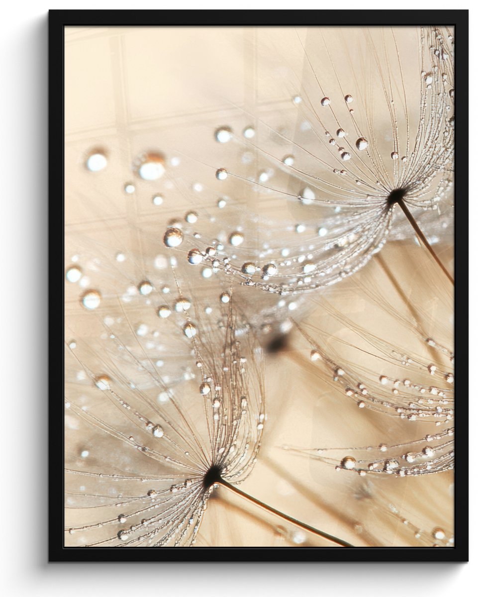 FrameYourWall Poster in lijst - Fotolijst 50x70 cm - Posters - Paardenbloem - Abstract - Natuur - Beige - Posterlijst zwart - Decoratie - Wanddecoratie woonkamer - Muurdecoratie slaapkamer Paardenbloem - Water