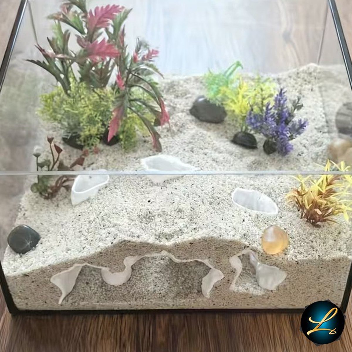 Groot Mooi Ronde Glas Tunnel Onder Water In De Aquarium Met Verschillend Vis Concept Toerisme Zee Wereld Duiken Foto