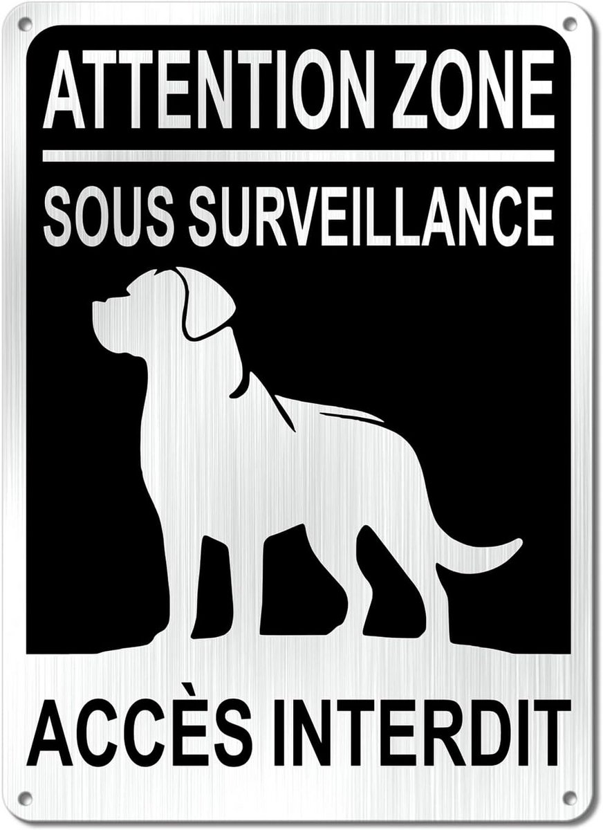 Waarschuwingsbord Surveillance Camera en Verboden Toegang 18x25 cm Aluminium