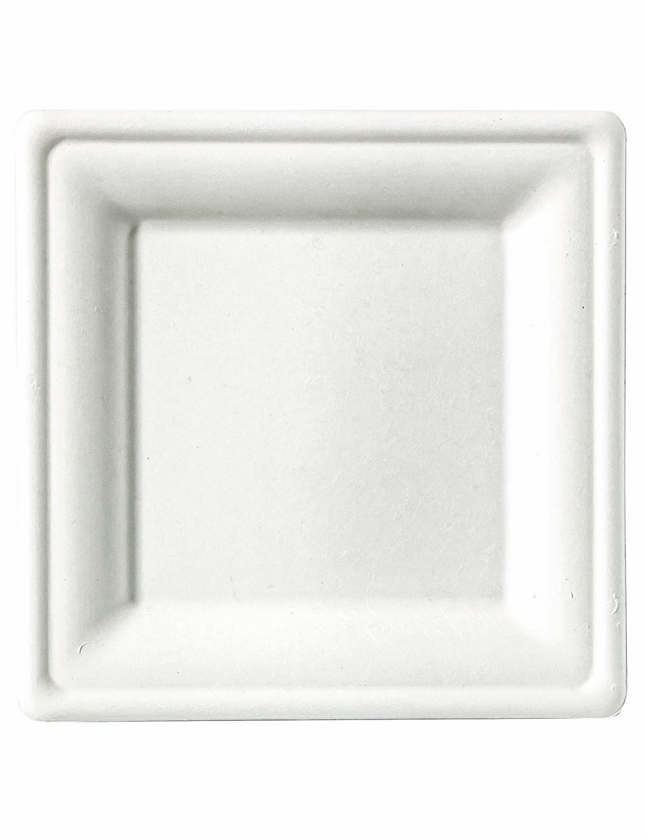 ISAP FRANCE - 25 kleine vierkante borden van suikerrietvezel 15 x 15 cm wit composteerbaar