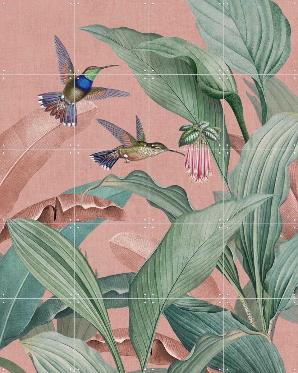 IXXI Birds of Paradise Garden, Bloomery Decor - 80 x 100 cm - Gratis ophangtool - Grote wanddecoratie en posters - Kleurrijk, Illustraties