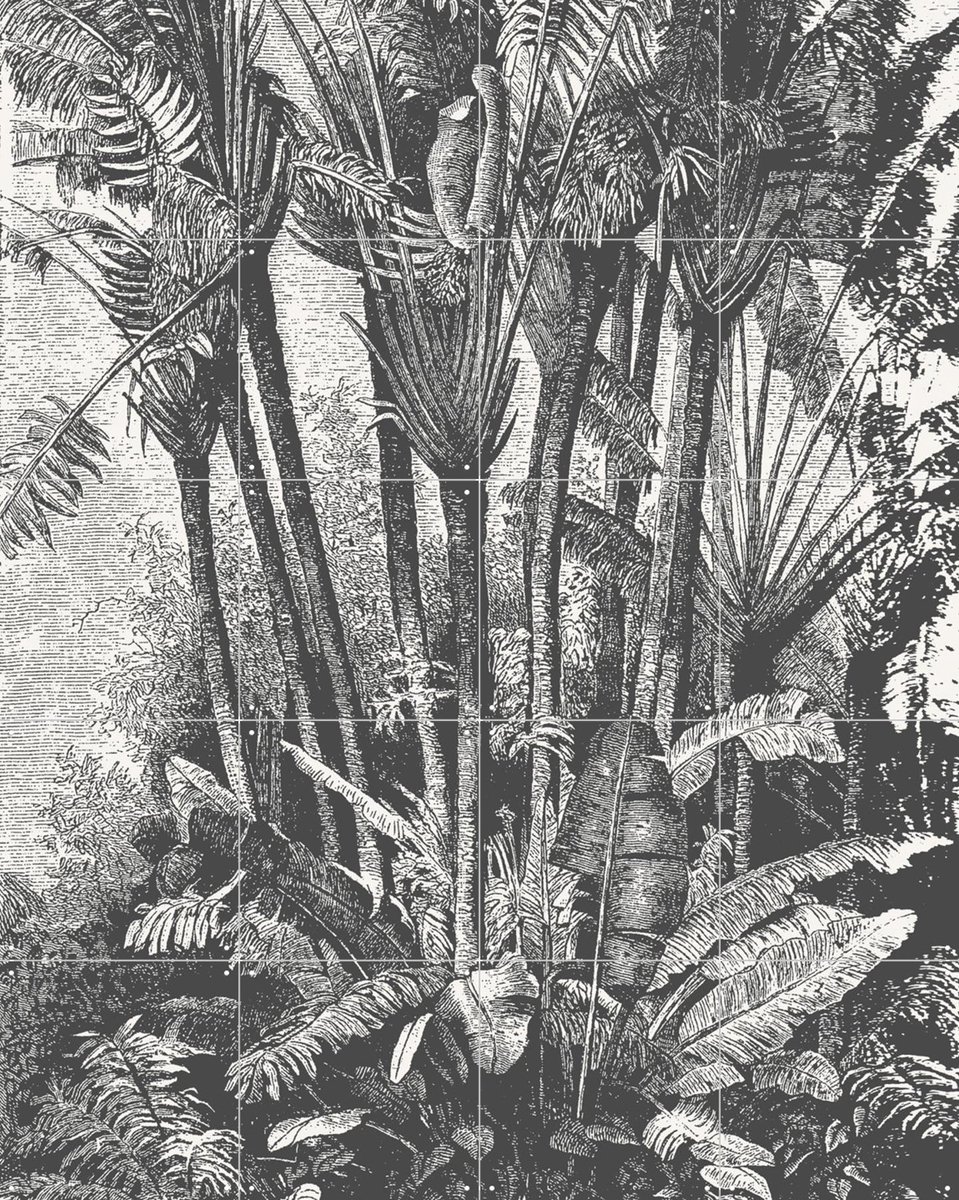 IXXI Palms in Water, Aster Edition - 80 x 100 cm - Gratis ophangtool - Grote wanddecoratie en posters - Naturalisme, Illustraties, Vintage, Houtsnede