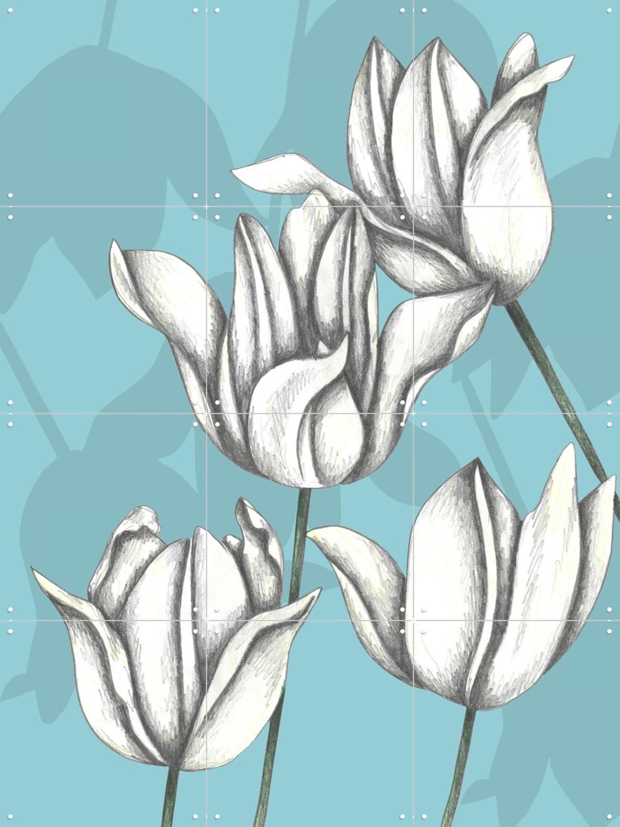 IXXI White Tulips, Cecilia Battaini - 60 x 80 cm - Gratis ophangtool - Grote wanddecoratie en posters - Line art, Minimalisme, Tekeningen