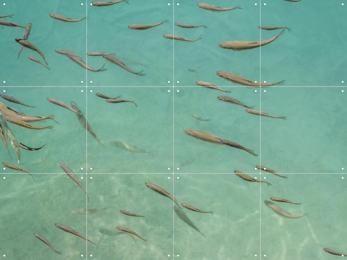 IXXI Fishing In China, Photolovers - 80 x 60 cm - Gratis ophangtool - Grote wanddecoratie en posters - Naturalisme, Fotografie, Realisme, Woonkamer