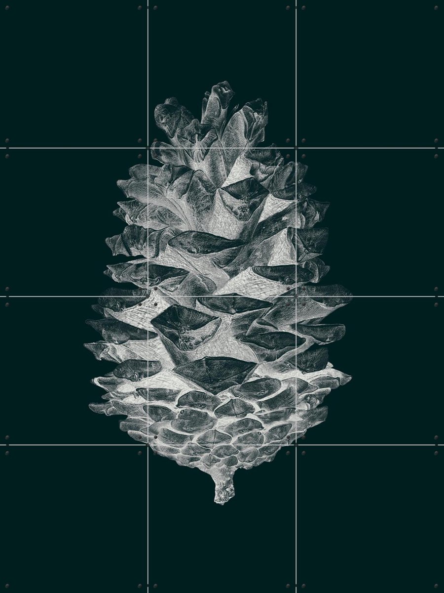 IXXI Pine Cone dark, IXXI - 60 x 80 cm - Gratis ophangtool - Grote wanddecoratie en posters - Fotografie, Illustraties, Minimalisme, Woonkamer, Gang