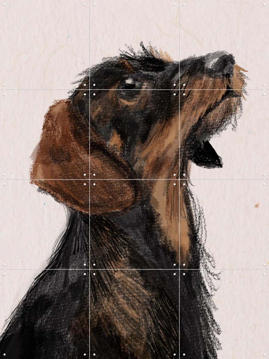 IXXI Little Friend, Esther Sepers - 60 x 80 cm - Gratis ophangtool - Grote wanddecoratie en posters - Kleurrijk, Illustraties,