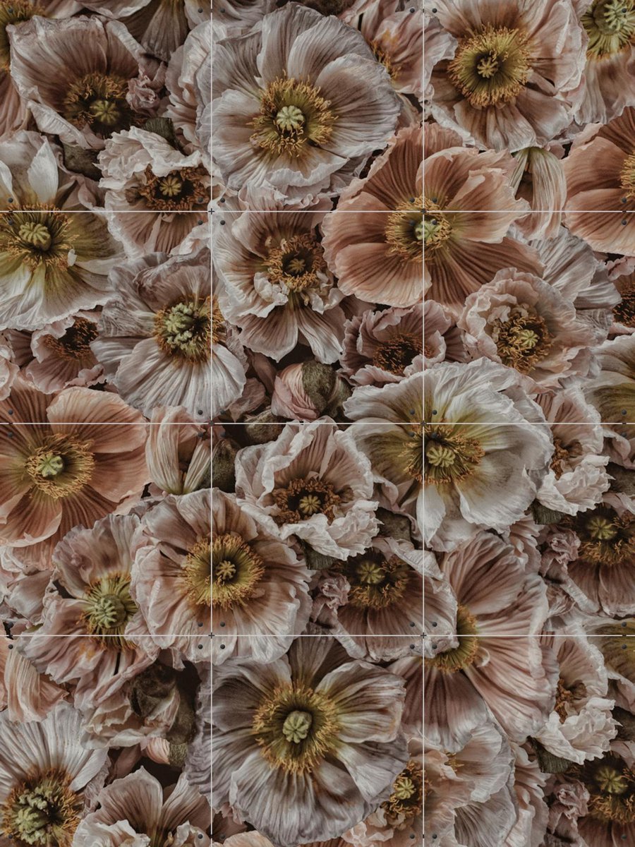 IXXI Wild Poppies, STUDIO HANNAH LEMHOLT - 60 x 80 cm - Gratis ophangtool - Grote wanddecoratie en posters Bloemen, Winter, Natuur