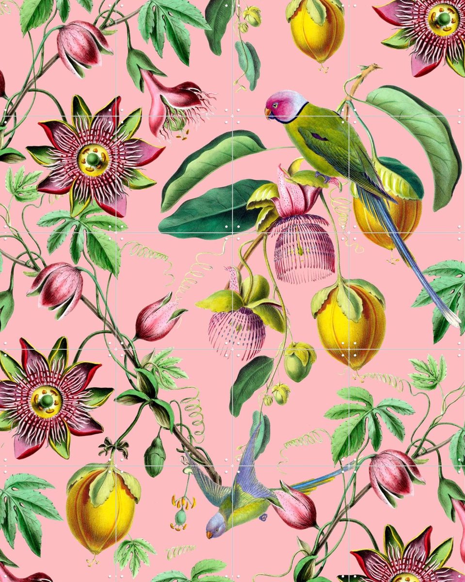 IXXI Botanical Garden, Creative Lab Amsterdam - 80 x 100 cm - Gratis ophangtool - Grote wanddecoratie en posters - Kleurrijk, Babykamer, Kinderkamer