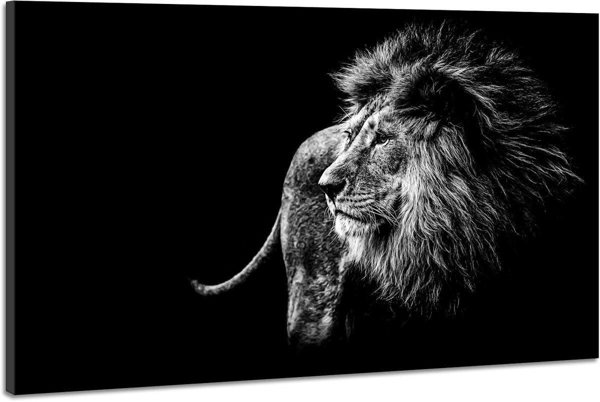 karo-art Schilderij -Leeuw in zwart/wit, magisch, 2 maten, wanddecoratie Multikleur