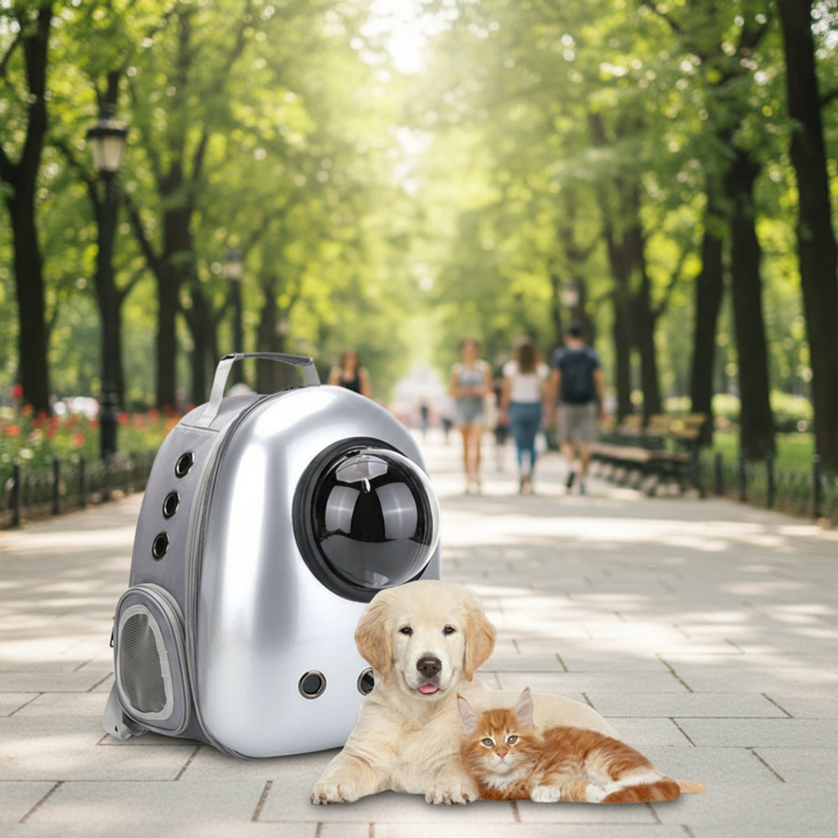 CHIWIN Reismand - Katten Draagrugzak Met Transparante Capsule – Ademend En Lichtgewicht – Zilver