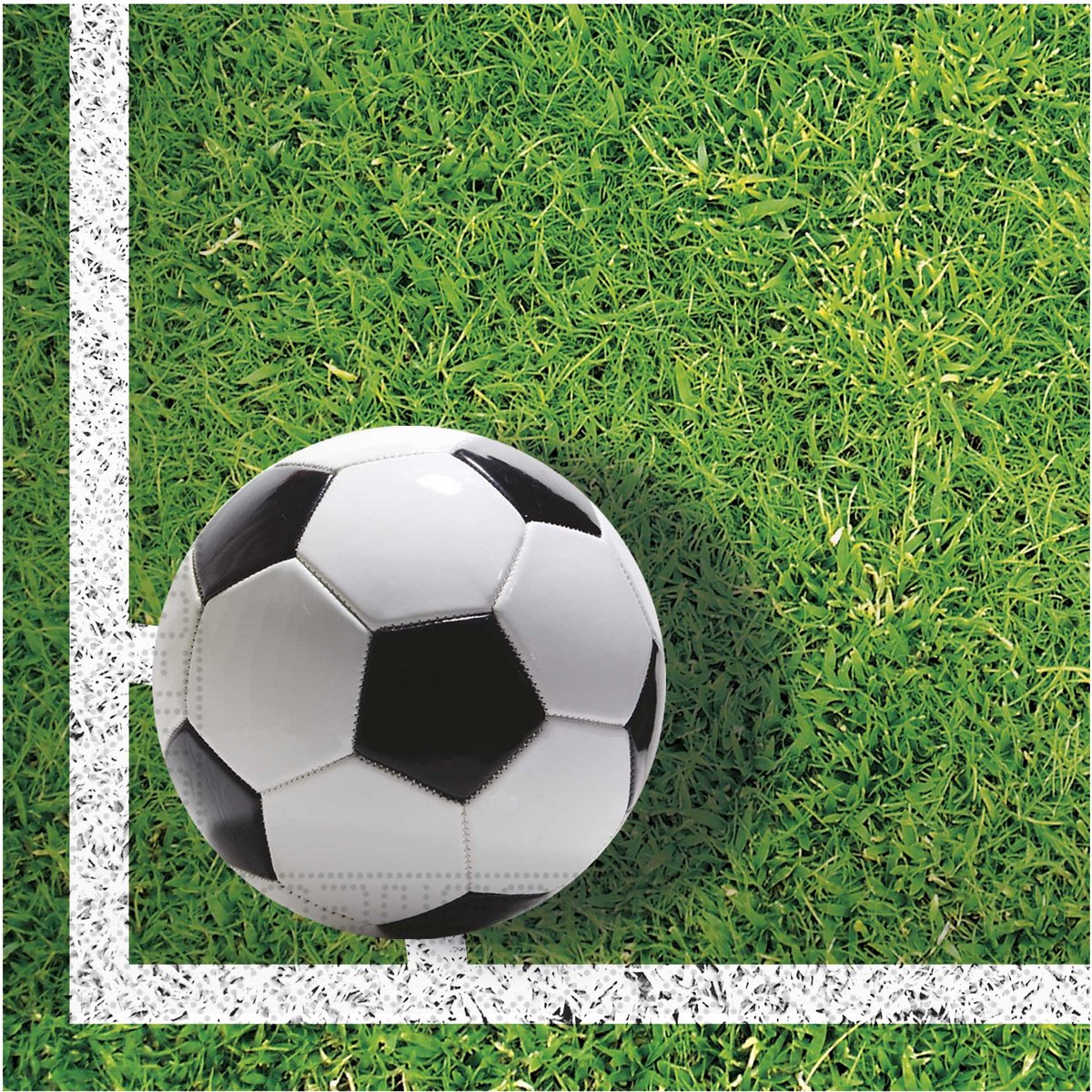 Wefiesta - Voetbal servetten - 20 stuks
