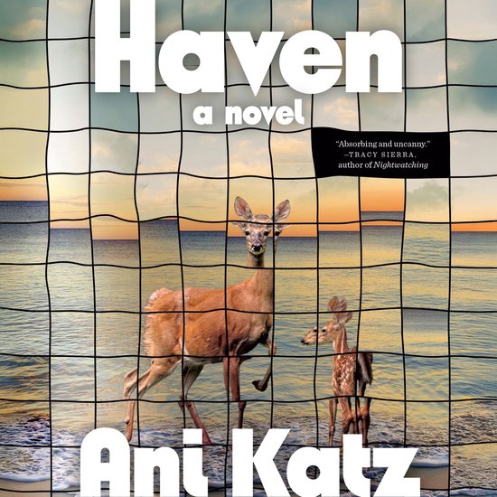 Haven - cover