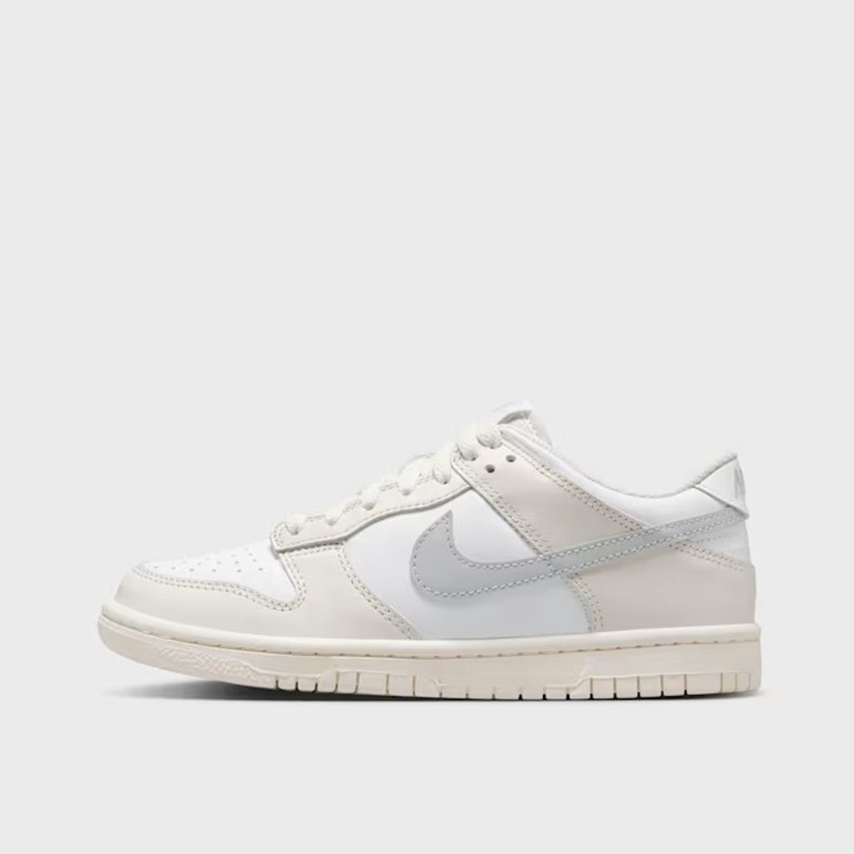 Nike Dunk Sneakers Unisex Grijs