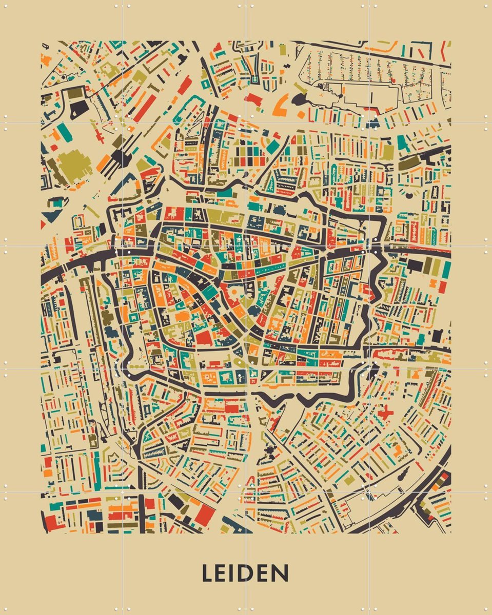 IXXI Leiden Mosaic Map, Kunst in Kaart - 80 x 100 cm - Gratis ophangtool - Grote wanddecoratie en posters - Grafisch Ontwerp, Geometrische Kunst