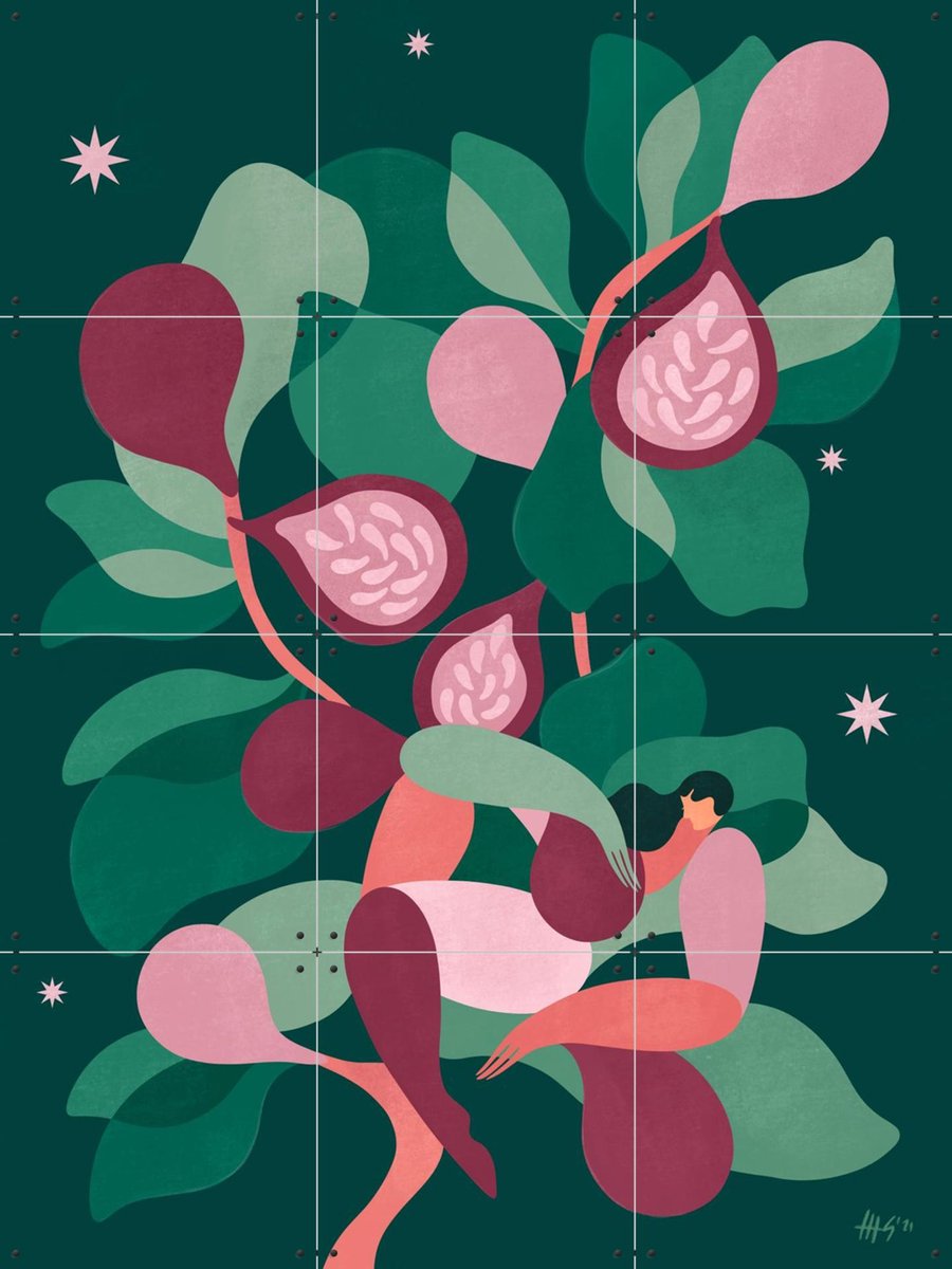 IXXI Figs at Night, Maggie Stephenson - 60 x 80 cm - Gratis ophangtool - Grote wanddecoratie en posters - Illustraties, Kleurrijk, Speels, Slaapkamer