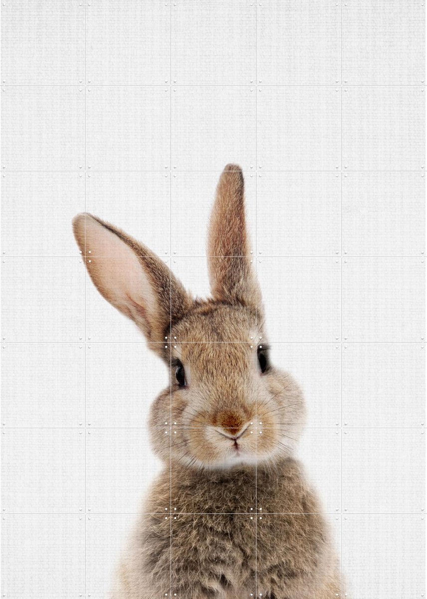 IXXI Print 315 Rabbit, Lila + Lola - 100 x 140 cm - Gratis ophangtool - Grote wanddecoratie en posters - Speels, Illustraties, Fotografie, Woonkamer