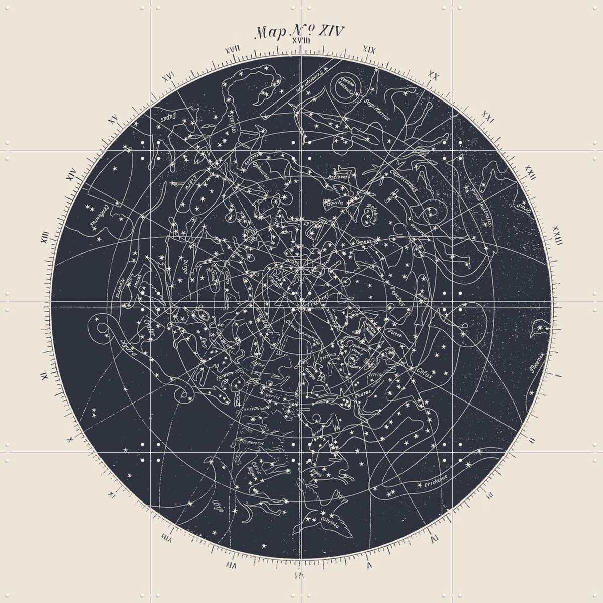 IXXI Map n°XIV, Aster Edition - 80 x 80 cm - Gratis ophangtool - Grote wanddecoratie en posters - Technische Tekening, Illustraties, Vintage, Mancave