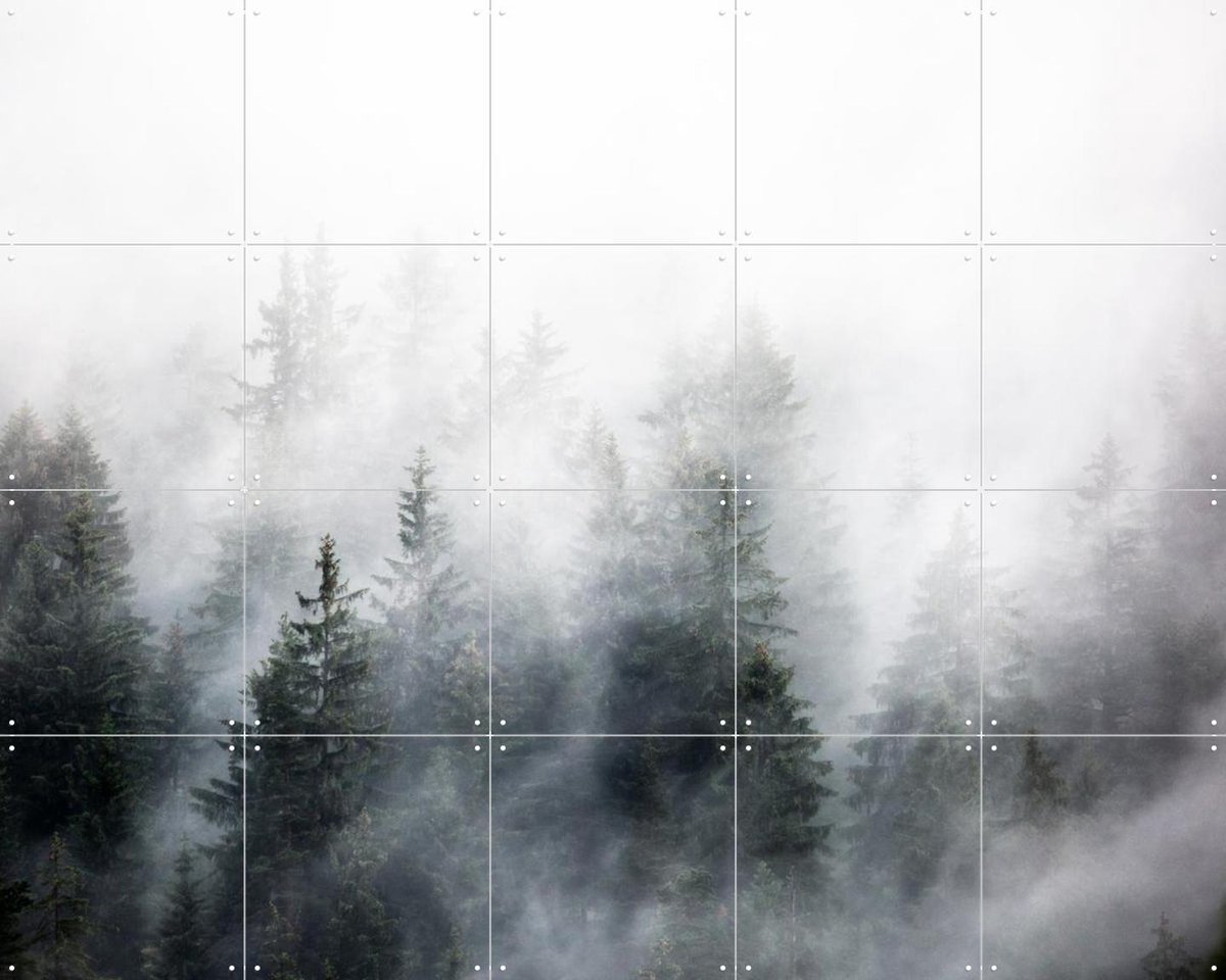 IXXI Foggy Woods 6, Mareike Böhmer - 100 x 80 cm - Gratis ophangtool - Grote wanddecoratie en posters - Grafisch Ontwerp, Naturalisme, Fotografie