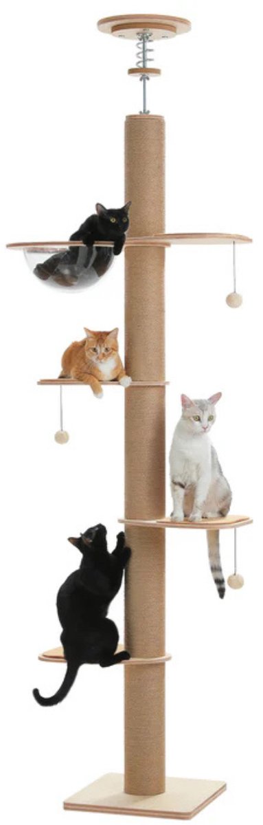 EcoPawPaw Verstelbare Plafond Krabpaal Kat – Houten Kattenboom Vloer-tot-Plafond met Sisal Krabpaal en Platforms