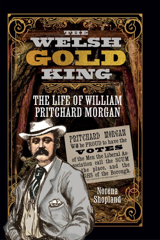 The Welsh Gold King - cover