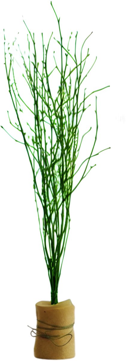 Paastakken - 115 cm - 3 takken - berkentakken - kunst - paasversiering - pasen