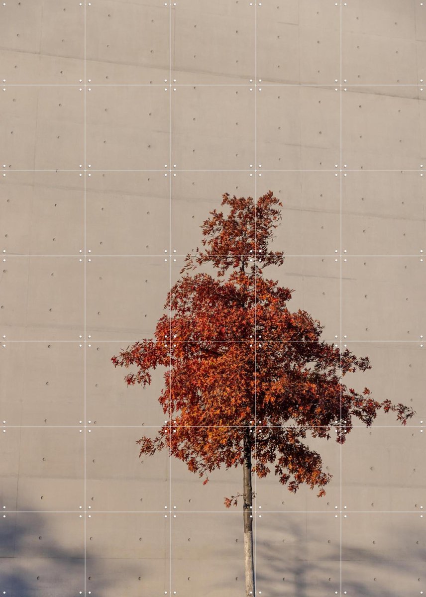 IXXI One Autumn Tree, Mareike Böhmer - 100 x 140 cm - Gratis ophangtool - Grote wanddecoratie en posters - Fotografie, Minimalisme, Slaapkamer