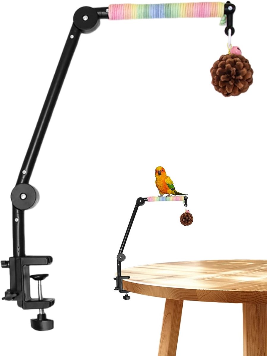 Vogel Zitstok - Vogel Speelstandaard - Vogel Verrijking - 4-in-1 Interactief Speelgoed - 26.4x40.3cm - Regenboogkleurig