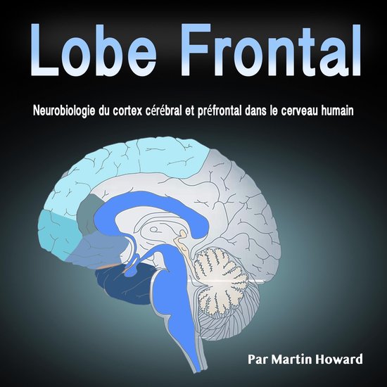 Lobe Frontal - cover