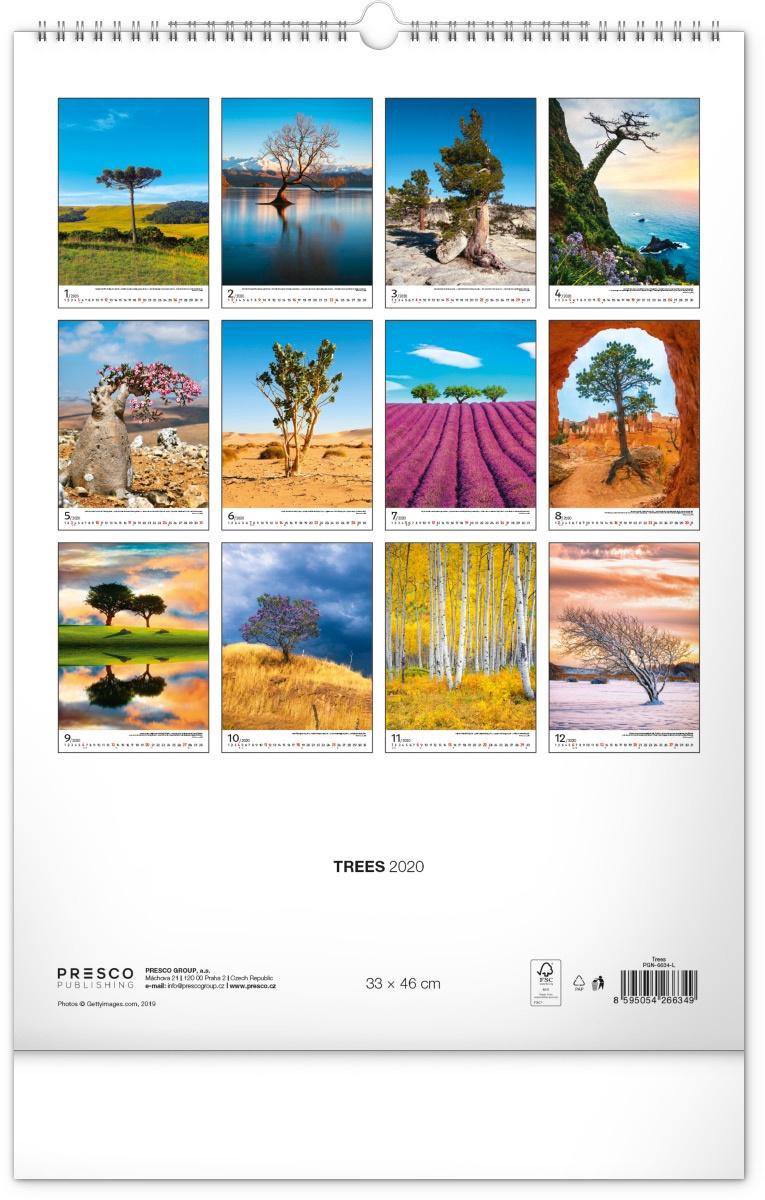 Trees Kalender 2020  bol.com