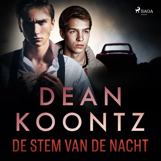De stem van de nacht - cover