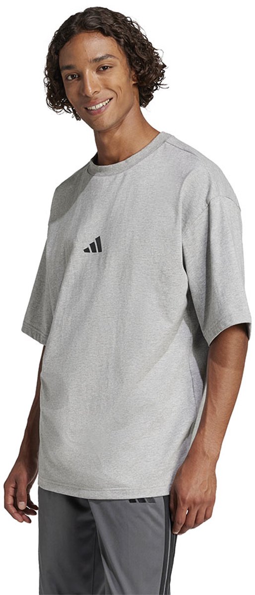 Adidas Future Icons Small Logo T-shirt Met Korte Mouwen L Regular Man Grijs